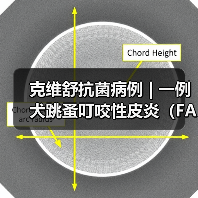 克维舒抗菌病例 | 一例犬跳蚤叮咬性皮炎（FAD）的病例分析