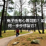 兔子也有心理阴影？如何一步步修复它？