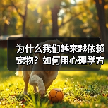 为什么我们越来越依赖宠物？如何用心理学方法获得情绪价值