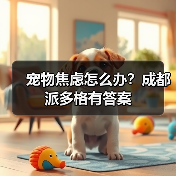 宠物焦虑怎么办?成都派多格有答案(图4) 宠物焦虑怎么办?成都派多格有答案(图4)