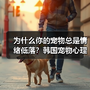 为什么你的宠物总是情绪低落？韩国宠物心理治疗师教你如何改善（图3）