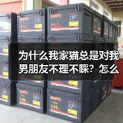 为什么我家猫总是对我男朋友不理不睬？怎么解决？