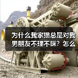 为什么我家猫总是对我男朋友不理不睬?怎么解决?(图3) 为什么我家猫总是对我男朋友不理不睬?怎么解决?(图3)