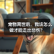 宠物离世后,我该怎么做才能走出悲伤?(图1) 宠物离世后,我该怎么做才能走出悲伤?(图1)