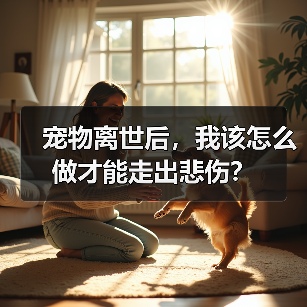 宠物离世后，我该怎么做才能走出悲伤？