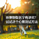 给宠物取名字有讲究?试试这个心理测试方法(图3) 给宠物取名字有讲究?试试这个心理测试方法(图3)