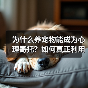 为什么养宠物能成为心理寄托?如何真正利用它?(图4) 为什么养宠物能成为心理寄托?如何真正利用它?(图4)