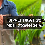 1月26日【重庆】(第125期)丨犬猫外科(高阶)班!含SUB(人人可实操)、乳糜胸等技术!(图2) 1月26日【重庆】(第125期)丨犬猫外科(高阶)班!含SUB(人人可实操)、乳糜胸等技术!(图2)