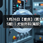 1月26日【重庆】(第125期)丨犬猫外科(高阶)班！含SUB(人人可实操)、乳糜胸等技术！