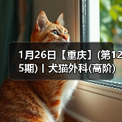 1月26日【重庆】(第125期)丨犬猫外科(高阶)班!含SUB(人人可实操)、乳糜胸等技术!(图4) 1月26日【重庆】(第125期)丨犬猫外科(高阶)班!含SUB(人人可实操)、乳糜胸等技术!(图4)