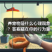 养宠物是什么心理现象?答案藏在你的行为里(图3) 养宠物是什么心理现象?答案藏在你的行为里(图3)