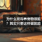 为什么觉得养宠物很脏？其实只要这样做就能改变（图1）