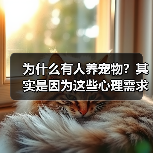 为什么有人养宠物?其实是因为这些心理需求(图3) 为什么有人养宠物?其实是因为这些心理需求(图3)
