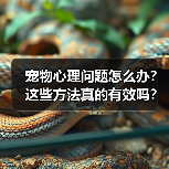 宠物心理问题怎么办?这些方法真的有效吗?(图4) 宠物心理问题怎么办?这些方法真的有效吗?(图4)