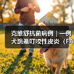 克维舒抗菌病例 | 一例犬跳蚤叮咬性皮炎(FAD)的病例分析(图1) 克维舒抗菌病例 | 一例犬跳蚤叮咬性皮炎(FAD)的病例分析(图1)