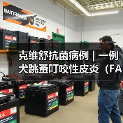 克维舒抗菌病例 | 一例犬跳蚤叮咬性皮炎(FAD)的病例分析(图4) 克维舒抗菌病例 | 一例犬跳蚤叮咬性皮炎(FAD)的病例分析(图4)