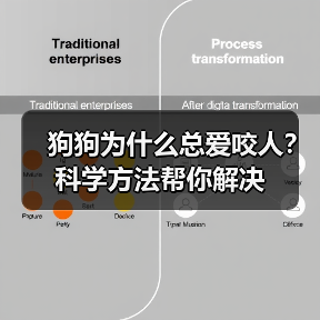 狗狗为什么总爱咬人?科学方法帮你解决(图2) 狗狗为什么总爱咬人?科学方法帮你解决(图2)