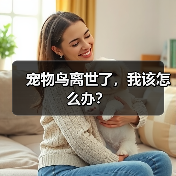 宠物鸟离世了,我该怎么办?(图4) 宠物鸟离世了,我该怎么办?(图4)