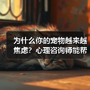 为什么你的宠物越来越焦虑?心理咨询师能帮上忙吗?(图2) 为什么你的宠物越来越焦虑?心理咨询师能帮上忙吗?(图2)