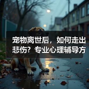 宠物离世后，如何走出悲伤？专业心理辅导方案帮你走出阴霾