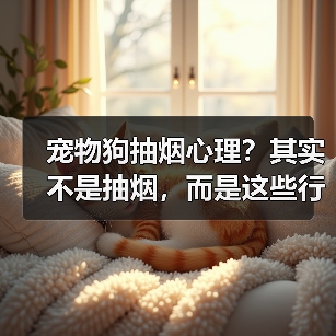 宠物狗抽烟心理？其实不是抽烟，而是这些行为在“模仿”！（图2）