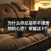 为什么你总是听不懂宠物的心思?掌握这3个技巧轻松沟通(图2) 为什么你总是听不懂宠物的心思?掌握这3个技巧轻松沟通(图2)