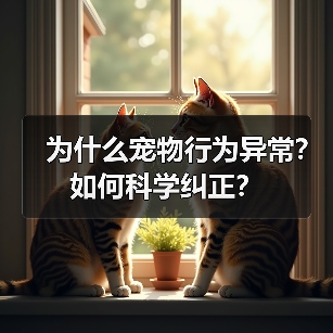 为什么宠物行为异常?如何科学纠正?(图1) 为什么宠物行为异常?如何科学纠正?(图1)