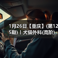 1月26日【重庆】(第125期)丨犬猫外科(高阶)班!含SUB(人人可实操)、乳糜胸等技术!(图1) 1月26日【重庆】(第125期)丨犬猫外科(高阶)班!含SUB(人人可实操)、乳糜胸等技术!(图1)