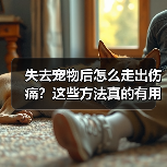 失去宠物后怎么走出伤痛?这些方法真的有用(图3) 失去宠物后怎么走出伤痛?这些方法真的有用(图3)