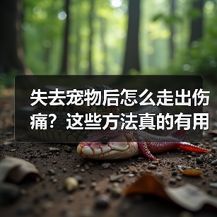 失去宠物后怎么走出伤痛?这些方法真的有用(图2) 失去宠物后怎么走出伤痛?这些方法真的有用(图2)