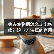 失去宠物后怎么走出伤痛?这些方法真的有用(图4) 失去宠物后怎么走出伤痛?这些方法真的有用(图4)