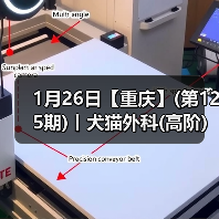 1月26日【重庆】(第125期)丨犬猫外科(高阶)班！含SUB(人人可实操)、乳糜胸等技术！