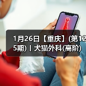 1月26日【重庆】(第125期)丨犬猫外科(高阶)班！含SUB(人人可实操)、乳糜胸等技术！（图2）