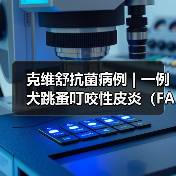 克维舒抗菌病例 | 一例犬跳蚤叮咬性皮炎（FAD）的病例分析
