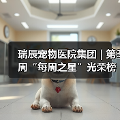 瑞辰宠物医院集团 | 第3周“每周之星”光荣榜(图1) 瑞辰宠物医院集团 | 第3周“每周之星”光荣榜(图1)