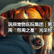 瑞辰宠物医院集团 | 第3周“每周之星”光荣榜(图3) 瑞辰宠物医院集团 | 第3周“每周之星”光荣榜(图3)