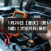 1月26日【重庆】(第125期)丨犬猫外科(高阶)班！含SUB(人人可实操)、乳糜胸等技术！