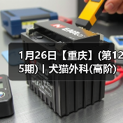 1月26日【重庆】(第125期)丨犬猫外科(高阶)班!含SUB(人人可实操)、乳糜胸等技术!(图4) 1月26日【重庆】(第125期)丨犬猫外科(高阶)班!含SUB(人人可实操)、乳糜胸等技术!(图4)