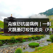 克维舒抗菌病例 | 一例犬跳蚤叮咬性皮炎(FAD)的病例分析(图2) 克维舒抗菌病例 | 一例犬跳蚤叮咬性皮炎(FAD)的病例分析(图2)