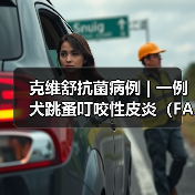 克维舒抗菌病例 | 一例犬跳蚤叮咬性皮炎（FAD）的病例分析