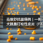 克维舒抗菌病例 | 一例犬跳蚤叮咬性皮炎(FAD)的病例分析(图4) 克维舒抗菌病例 | 一例犬跳蚤叮咬性皮炎(FAD)的病例分析(图4)