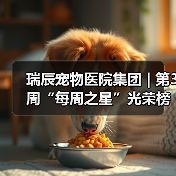瑞辰宠物医院集团 | 第3周“每周之星”光荣榜(图3) 瑞辰宠物医院集团 | 第3周“每周之星”光荣榜(图3)
