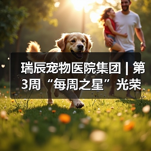 瑞辰宠物医院集团 | 第3周“每周之星”光荣榜(图4) 瑞辰宠物医院集团 | 第3周“每周之星”光荣榜(图4)