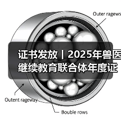 证书发放丨2025年兽医继续教育联合体年度证书正式发放啦！（图3）