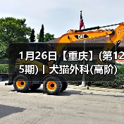 1月26日【重庆】(第125期)丨犬猫外科(高阶)班！含SUB(人人可实操)、乳糜胸等技术！