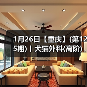 1月26日【重庆】(第125期)丨犬猫外科(高阶)班!含SUB(人人可实操)、乳糜胸等技术!(图4) 1月26日【重庆】(第125期)丨犬猫外科(高阶)班!含SUB(人人可实操)、乳糜胸等技术!(图4)