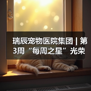 瑞辰宠物医院集团 | 第3周“每周之星”光荣榜(图2) 瑞辰宠物医院集团 | 第3周“每周之星”光荣榜(图2)