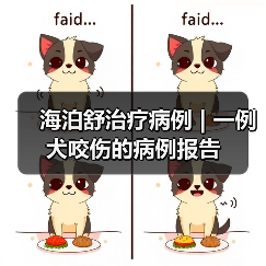 海泊舒治疗病例 | 一例犬咬伤的病例报告（图3）