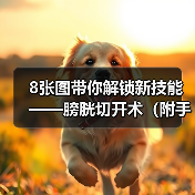 8张图带你解锁新技能——膀胱切开术(附手术视频)(图3) 8张图带你解锁新技能——膀胱切开术(附手术视频)(图3)