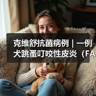 克维舒抗菌病例 | 一例犬跳蚤叮咬性皮炎（FAD）的病例分析